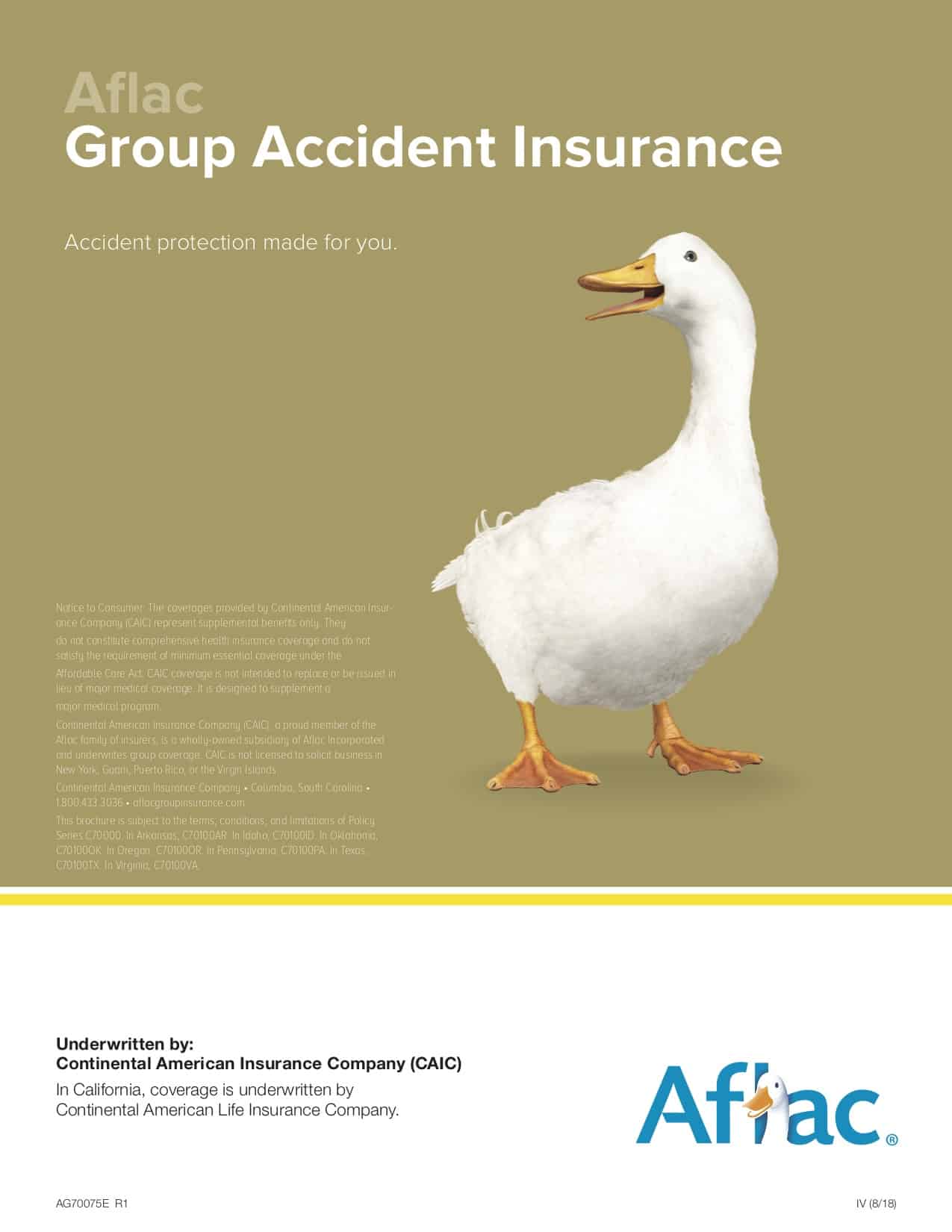 Accident Insurance Details